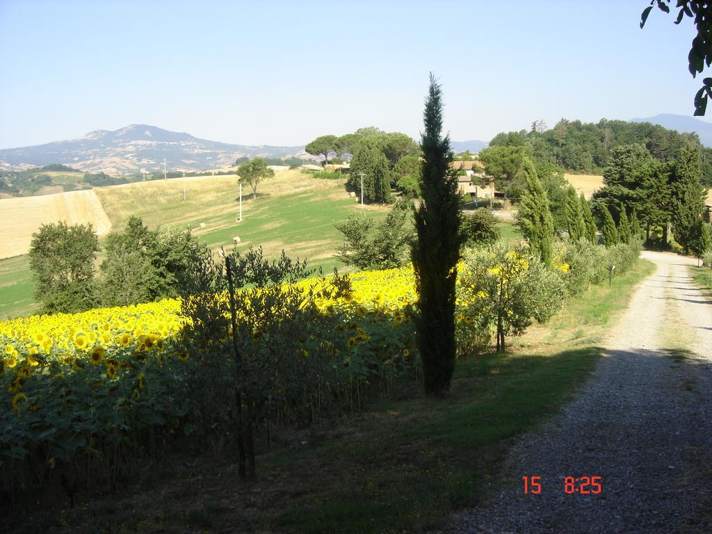 Вилла Agriturismo Poggio Porsenna - Con Piscina Proceno Экстерьер фото